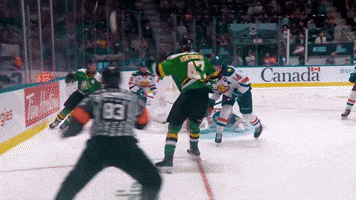 Hockey Lk GIF by London Knights