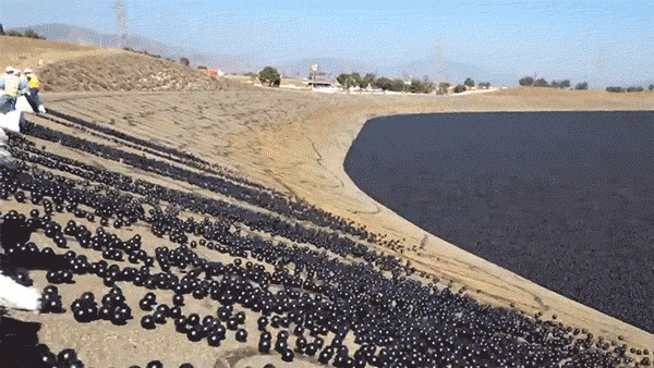 gokcecici giphyupload GIF