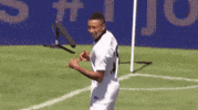 2015 icc GIF by International Champions Cup