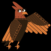 PeaceGen_Indonesia fun sticker animal bird GIF