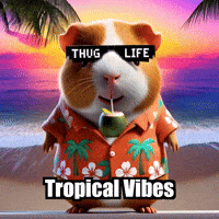 Travel Beach GIF by Guinea Gambino
