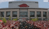 Football College GIF by Hogs+