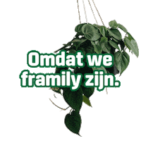 Flowers Plant Sticker by Groen van bij ons