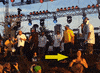 sign language GIF