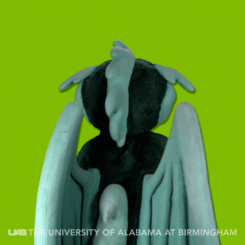 Look At Me What GIF by The University of Alabama at Birmingham