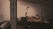 a great big pile of leaves snack attack GIF by Topshelf Records
