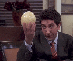 the one where estelle dies episode 15 GIF