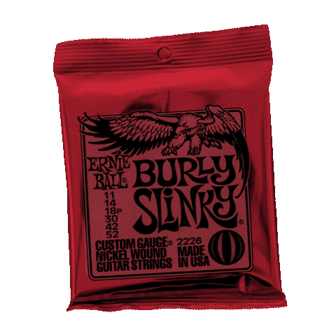 ERNIE_BALL giphyupload slinky burly ernie ball Sticker