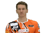 Volleyball Berlin Sticker by BR Volleys