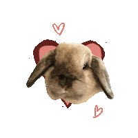 Heart Love Sticker