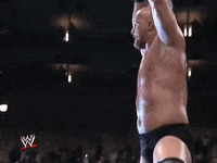wwe sports wwe wrestling champion GIF