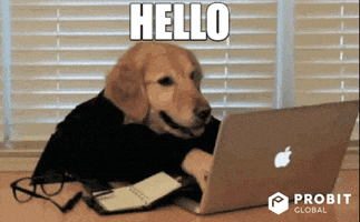 Video gif. Golden Retriever's head pops out of a suit but the hands are human hands and they furiously type away at a laptop. The golden's tongue hangs out and they're just happy to be there. Text, "Hello!"