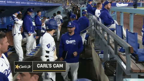 Major League Baseball Sport GIF by MLB