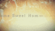 GIF by U Alumni