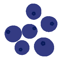 Fruit Berry Sticker