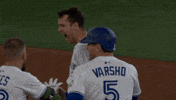 Blue Jays Baseball GIF by Toronto Blue Jays