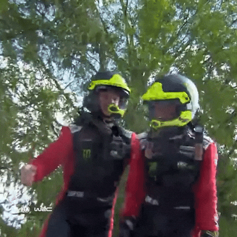 Team Victory GIF by FIA World Rally Championship