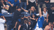 Blue Jays Baseball GIF by Toronto Blue Jays