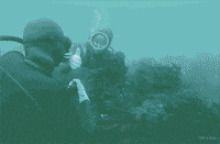 Discover Look What I Found GIF by Outside TV