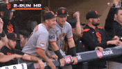 Go Crazy Yes GIF by San Francisco Giants