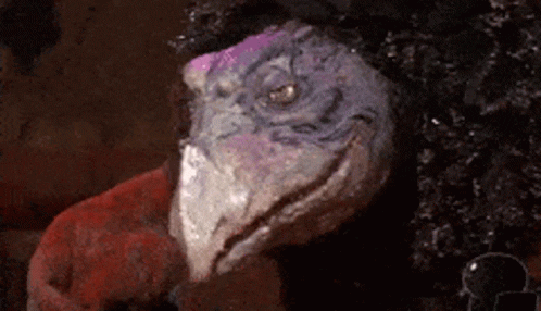 Dark Crystal GIF by memecandy