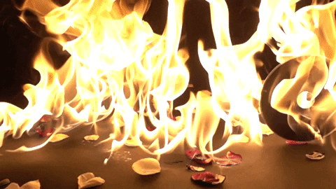 andthemethod giphygifmaker GIF