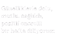 Guzel Sticker