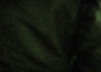 Short Film GIF by The Weeknd