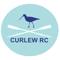 curlew rowing sportsclub curlew rowingclub Sticker