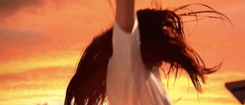 and so we put goldfish in the pool GIF by NOWNESS