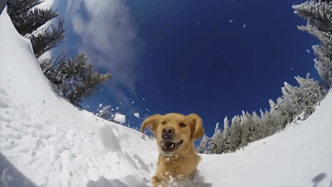 GIF by Outside Magazine