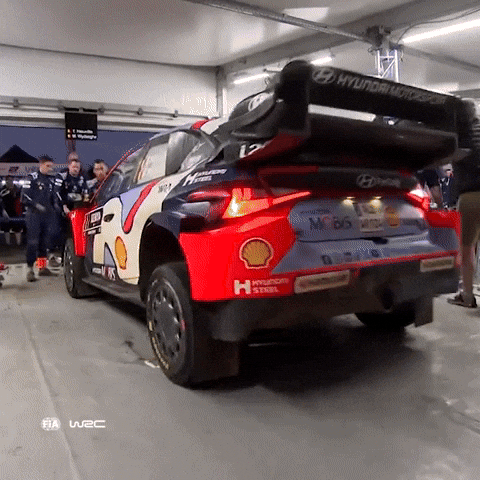 Sports Car Running GIF by FIA World Rally Championship