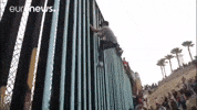Wall Climbing GIF by euronews