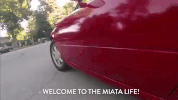 comedy central GIF by Workaholics
