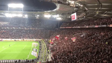 vertikalpass giphygifmaker GIF