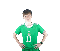 Irish Football Reaction Sticker by Northern Ireland