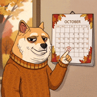 Shiba Inu Waiting GIF by Doge Pound