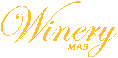 Carnival Caribbean Sticker by Winery Mas