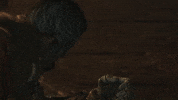 from software sekiro GIF