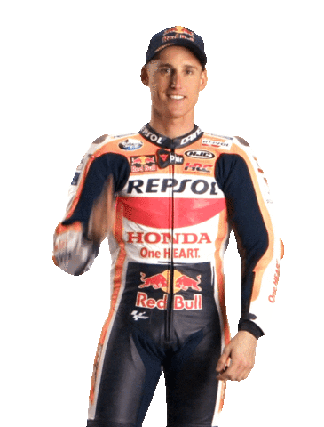 Honda Celebration Sticker by Box Repsol