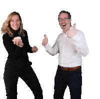VanSpronsenMakelaars van spronsen van spronsen makelaar makelaar hendrik ido ambacht Sticker