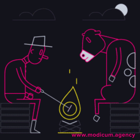 Modicum hot funny animals fire GIF