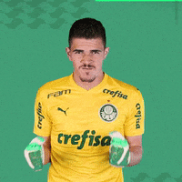 Puma Comemoracao GIF by SE Palmeiras