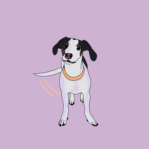 Cute Dog GIF by end of story. ny