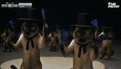 틴더스 GIF