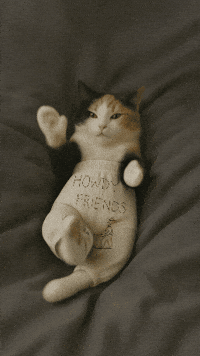 Chewy GIF