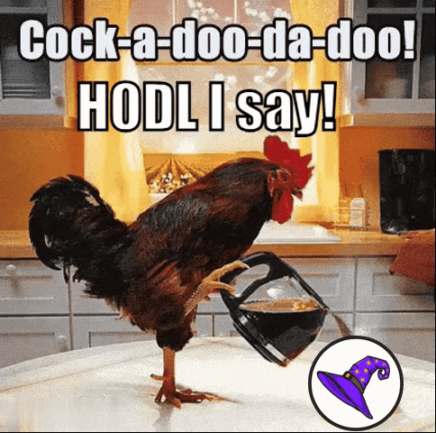Crypto Cryptocurrency GIF