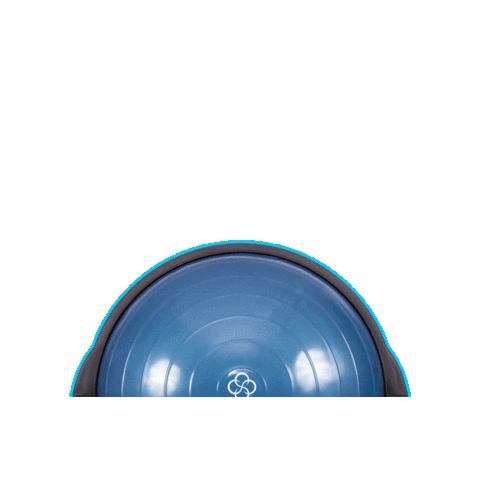Fitness Workout Sticker by BOSU®