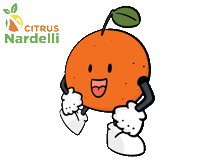 Frutatop Sticker by Citrus Nardelli