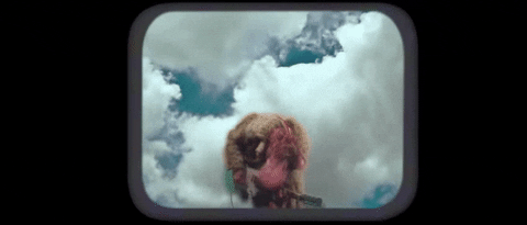 GIF by Burger Records